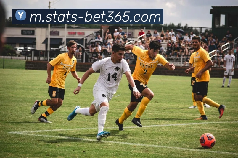 bet365平台生态图